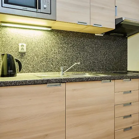 Apartment - Hra140 By Interhome Harrachov