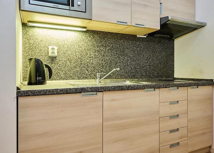 Apartment By Interhome Harrachov